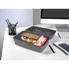 Контейнер дит. HEREVIN Grey Big Lunch Box- Ланчбокс (161459-801) Контейнер дит. HEREVIN Grey Big Lunch Box- Ланчбокс (161459-801)