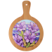 Дошка обробна Limited Edition IRIS / підставка під гаряче/ з бамбук.ручкою 19х27 см (B160069)