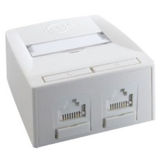 Настінний блок Synergy 2P DG + 568A / B C5E, біл, MOLEX Настінний блок Synergy 2P DG + 568A / B C5E, біл, MOLEX